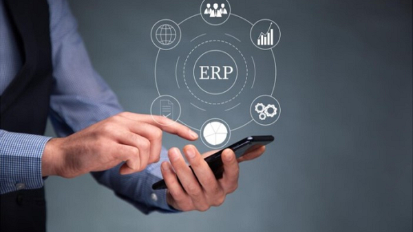 Kelebihan dan Kekurangan ERP yang Perlu Diketahui Sebelum Memutuskan untuk Implementasi