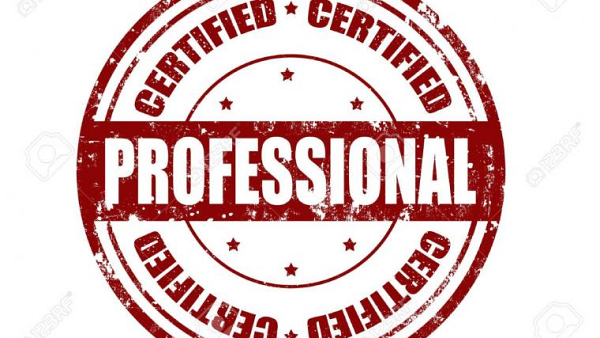 Seperti Apa Konsultan IT Yang Profesional?